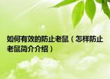 如何有效的防止老鼠（怎样防止老鼠简介介绍）