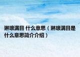 琳琅满目 什么意思（琳琅满目是什么意思简介介绍）
