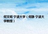 何文明 宁波大学（何静 宁波大学教授）