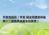 李贵龙简历（李龙 民主同盟贵州省第十二届委员会副主任委员）