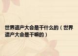世界遗产大会是干什么的（世界遗产大会是干嘛的）