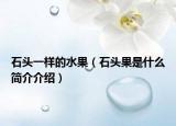 石头一样的水果（石头果是什么简介介绍）