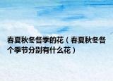 春夏秋冬各季的花（春夏秋冬各个季节分别有什么花）