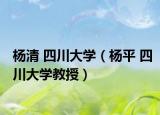 杨清 四川大学（杨平 四川大学教授）