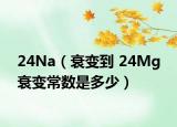 24Na（衰变到 24Mg 衰变常数是多少）