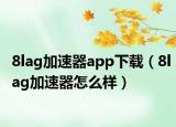 8lag加速器app下载（8lag加速器怎么样）