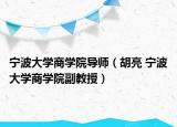 宁波大学商学院导师（胡亮 宁波大学商学院副教授）