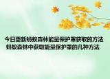 今日更新蚂蚁森林能量保护罩获取的方法 蚂蚁森林中获取能量保护罩的几种方法