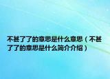 不甚了了的意思是什么意思（不甚了了的意思是什么简介介绍）