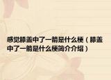 感觉膝盖中了一箭是什么梗（膝盖中了一箭是什么梗简介介绍）
