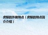虎鲸的外貌特点（虎鲸的特点简介介绍）