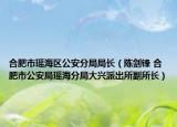 合肥市瑶海区公安分局局长（陈剑锋 合肥市公安局瑶海分局大兴派出所副所长）