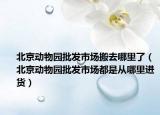 北京动物园批发市场搬去哪里了（北京动物园批发市场都是从哪里进货）