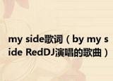 my side歌词（by my side RedDJ演唱的歌曲）