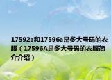 17592a和17596a是多大号码的衣服（17596A是多大号码的衣服简介介绍）