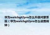 华为watchgt2pro怎么升级鸿蒙系统（华为watchgt2pro怎么设置闹钟）