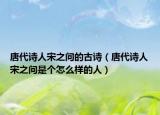 唐代诗人宋之问的古诗（唐代诗人宋之问是个怎么样的人）