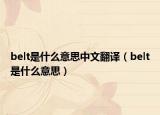 belt是什么意思中文翻译（belt是什么意思）