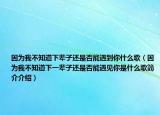 因为我不知道下辈子还是否能遇到你什么歌（因为我不知道下一辈子还是否能遇见你是什么歌简介介绍）