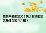 爱情中爱的定义（关于爱情的定义是什么简介介绍）