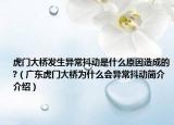 虎门大桥发生异常抖动是什么原因造成的?（广东虎门大桥为什么会异常抖动简介介绍）
