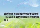 哔哩哔哩下载的视频存在手机哪里（bilibili下载的视频存在手机的哪里）