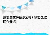 骥怎么读拼音怎么写（骥怎么读简介介绍）