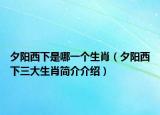 夕阳西下是哪一个生肖（夕阳西下三大生肖简介介绍）