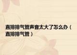 直排排气管声音太大了怎么办（直排排气管）