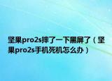 坚果pro2s摔了一下黑屏了（坚果pro2s手机死机怎么办）
