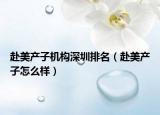 赴美产子机构深圳排名（赴美产子怎么样）