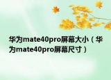 华为mate40pro屏幕大小（华为mate40pro屏幕尺寸）