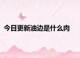 今日更新油边是什么肉