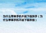 为什么苹果手机不能下载快手（为什么苹果手机不能下载农信）