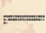 使用搜索引擎查找各种信息是很方便的英语（哪些搜索引擎可以用英语搜索简介介绍）