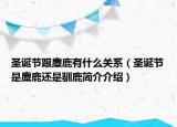 圣诞节跟麋鹿有什么关系（圣诞节是麋鹿还是驯鹿简介介绍）