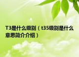 T3是什么级别（t35级别是什么意思简介介绍）