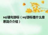 sql语句游标（sql游标是什么意思简介介绍）