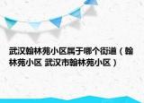 武汉翰林苑小区属于哪个街道（翰林苑小区 武汉市翰林苑小区）