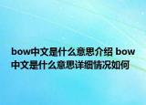 bow中文是什么意思介绍 bow中文是什么意思详细情况如何
