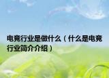 电竞行业是做什么（什么是电竞行业简介介绍）