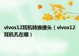 vivos12耳机转换接头（vivos12耳机孔在哪）