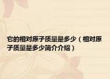 它的相对原子质量是多少（相对原子质量是多少简介介绍）