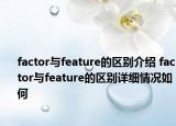 factor与feature的区别介绍 factor与feature的区别详细情况如何