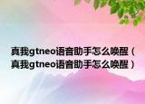 真我gtneo语音助手怎么唤醒（真我gtneo语音助手怎么唤醒）