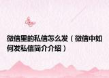 微信里的私信怎么发（微信中如何发私信简介介绍）