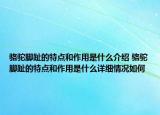 骆驼脚趾的特点和作用是什么介绍 骆驼脚趾的特点和作用是什么详细情况如何