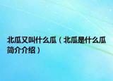 北瓜又叫什么瓜（北瓜是什么瓜简介介绍）