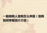 一般纳税人地税怎么申报（地税如何申报简介介绍）