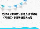 苏打绿《再遇见》歌词介绍 苏打绿《再遇见》歌词详细情况如何